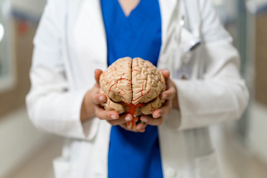 Atuação do sistema endocanabinoide na regulação do corpo.