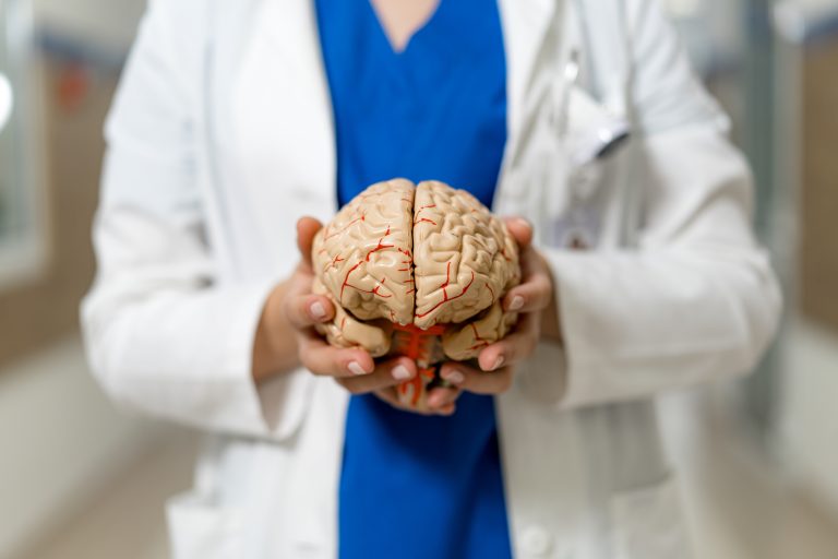Atuação do sistema endocanabinoide na regulação do corpo.