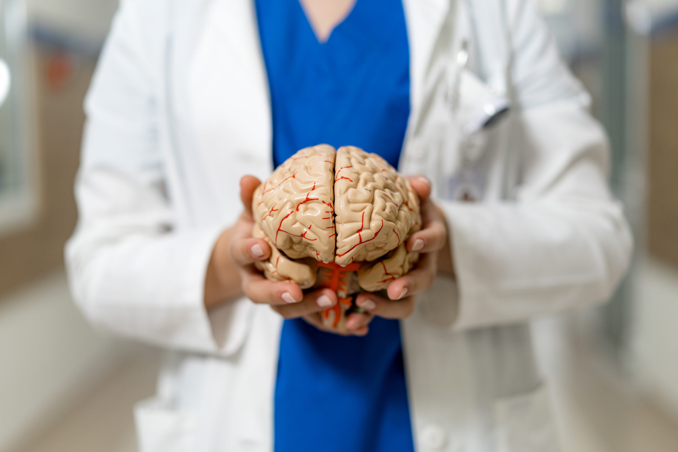 Sistema endocanabinoide: entenda o que é e como funciona